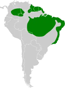 Distribución geográfica del homiguerito coicorita.