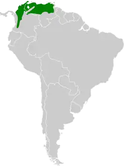 Distribución geográfica del hormiguerito de Coicorita norteño.