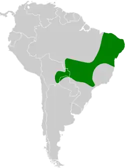 Distribución geográfica del hormiguerito ventrinegro.