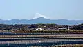 El lago junto con el Fuji.