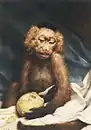 Mono con limón; experiencias amargas, The Jack Daulton Collection, Los Altos Hills, California.