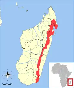 Distribución de la mangosta de franjas anchas
