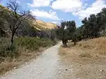 Viejo camino de Rosh Piná a Safed, Alta Galilea, Israel