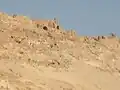 Ruinas de Gasr Wazin