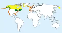 Distribución de G. immer.