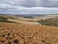 Horizonte relativamente abierto en la meseta de Gentioux : páramos, prados y bosques de coníferas