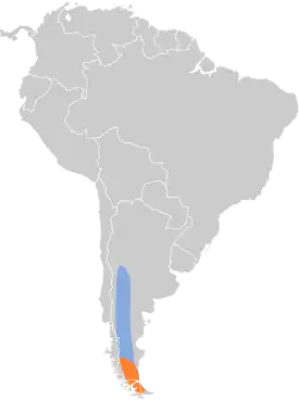 Distribución geográfica del minero austral.