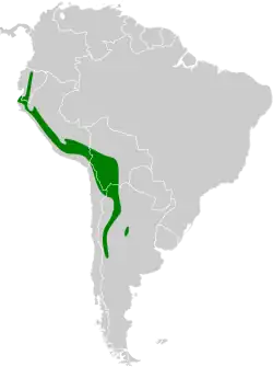 Distribución geográfica del yal plebeyo.