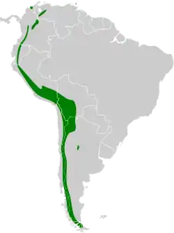 Distribución geográfica del yal plomizo.