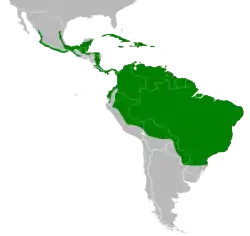 Distribución geográfica de la paloma perdiz común.