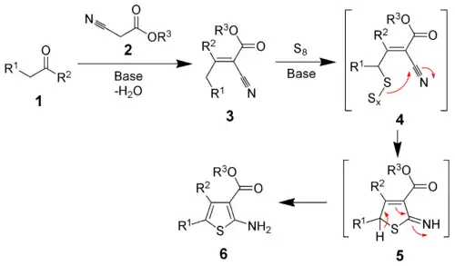 The mechanism of the Gewald reaction