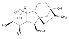 estructural de la molécula del ác. giberélico