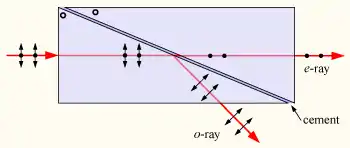 El prisma de Glan-Thompson desvia el rayo ordinario polarizado "p" y transmite el rayo extraordinario polarizado "s". Las dos mitades del prisma están unidas por un cemento óptico, y los ejes de los cristales son perpendiculares a los planos del diagrama.  El rayo rojo más bajo saliendo el prisma bajo refracción, el cual no es mostrado en el diagrama.
