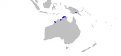 Distribución del tiburón fluvial del norte