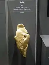 Una gran pepita de oro del Condado de Nevada (California).