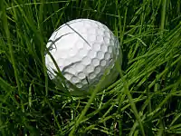 Golf ball grass