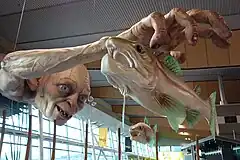 Gollum en el aeropuerto de Wellington.