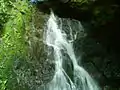 Los Senderos de Celaque (caídas de agua fresca y sobre todo helada).