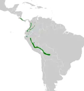 Distribución geográfica del ponchito ocráceo.