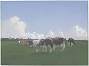 Vacas pastando en un pasto, c. 1900, acuarela sobre papel