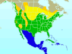 alt=Área de distribución: 
( Azul = invernada , Verde = presente todo el año , Amarillo = nidificación , Mostaza = presente durante la migración )