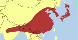 Distribución en Asia.