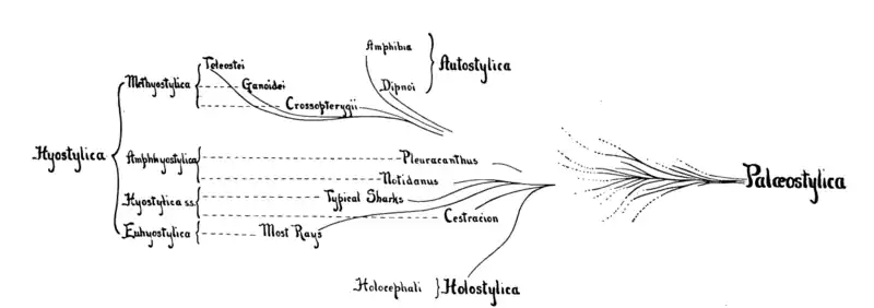 Evolución de la suspensión mandibular según Gregory (1904)