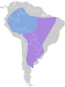 Distribución geográfica del tuquito gris.