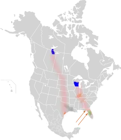 azul = nidificación, rosa = ruta migratoria, verde = presente todo el año, gris = presente todo el año (experimental), naranja = invernada.