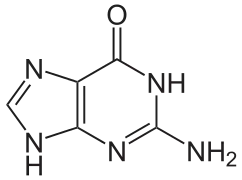 Estructura química de la guanina.