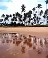 Playa de Guarajuba