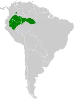 Distribución geográfica del hormiguero cariblanco.