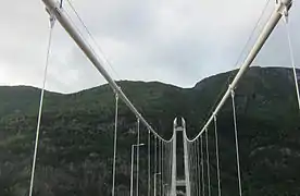 Vista mirando hacia arriba al cruzar el puente