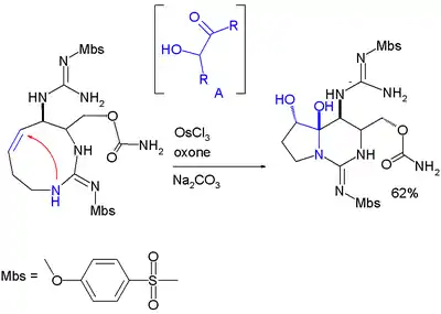 Formación de hemiaminal en saxitox en síntesis