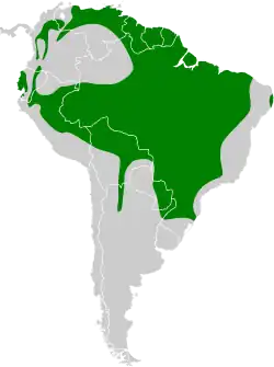 Distribución geográfica de la tangara güirá.