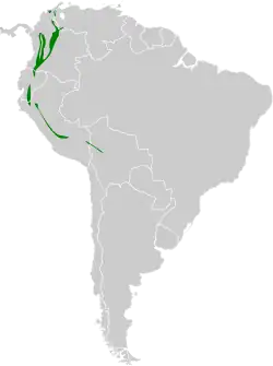 Distribución geográfica del titirijí gorjinegro.