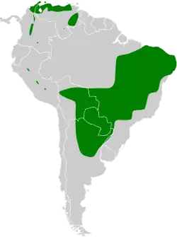 Distribución geográfica del titirijí perlado.