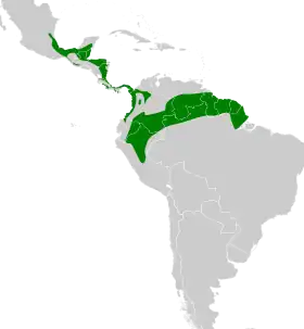 Distribución geográfica del cucarachero pechiblanco.