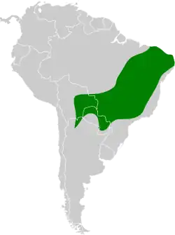 Distribución geográfica del tiluchí plomizo.