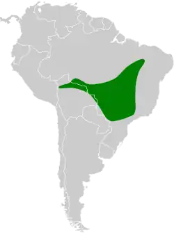 Distribución geográfica del tiluchí piquilago.