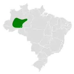 Distribución geográfica del tiluchí de Purús.