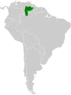 Distribución geográfica del tiluchí del Roraima.