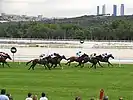 Hipódromo de la Zarzuela