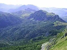 Un paysage montagneux et boisé.