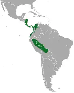 Distribución del perezoso didáctilo de Hoffmann