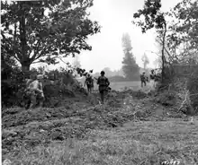 Setos y árboles cubren cada lado de la foto. En el centro, un agujero en el seto y tres hombres que se alejan de la cámara a través de éste. Se puede observar a un cuarto hombre en el lado izquierdo de la foto.