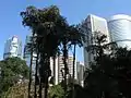 El Parque de Hong Kong está rodeado por rascacielos del distrito financiero