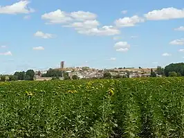 Vista de la localidad.