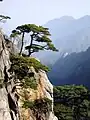 Huangshan