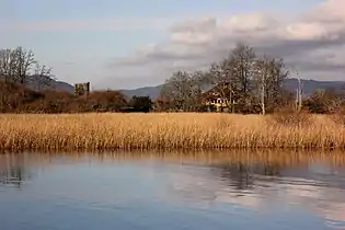 Humedales del río